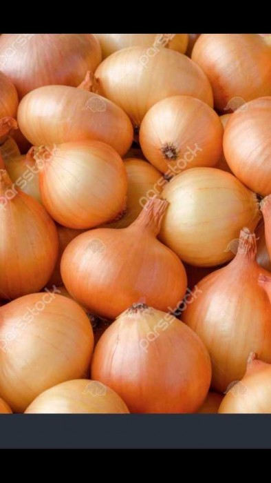تصویر 2 از خرید و قیمت پیاز زرد فلات + فروش ویژه